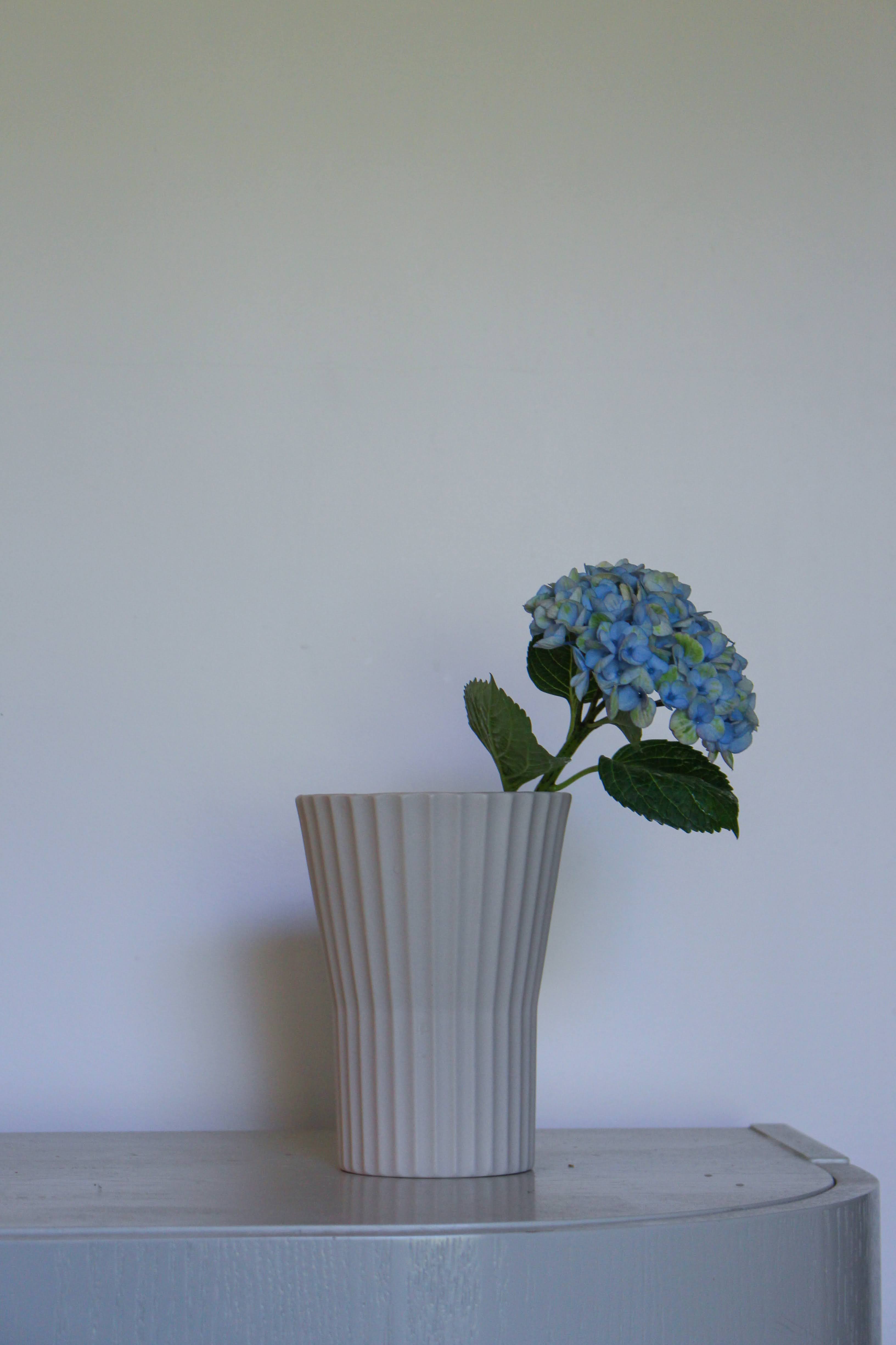 Athena Ripple Vase Chalk White (L)