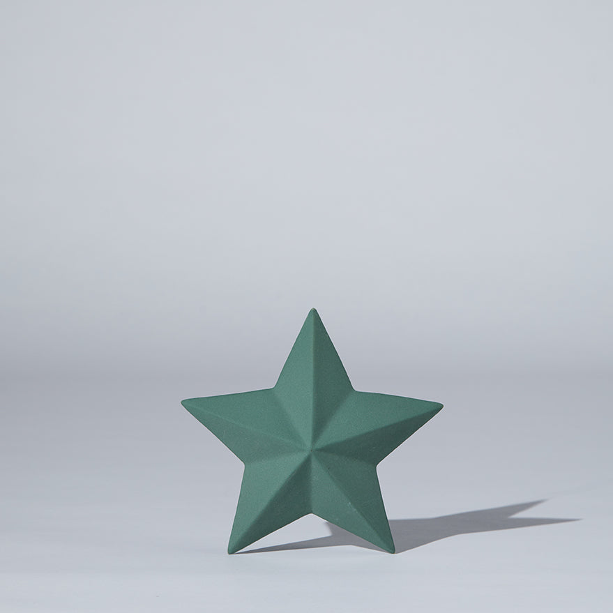 Star Decoration Moss (XL)